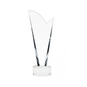 3 Series Fine Official Crest Trophy