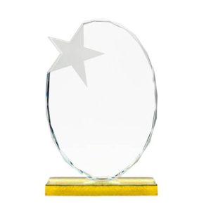 Bespoke 3 Series Fine Diamond Star Plaque