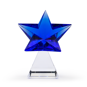 Blue Star Desk Weight