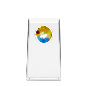 8 Series Supreme Liu-Li Dragon Ornament Plaque