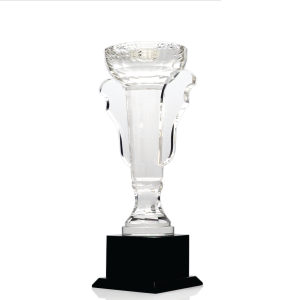 7 Series Supreme Tournament Cup Melanite Trophy